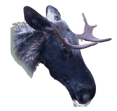 Vandraren